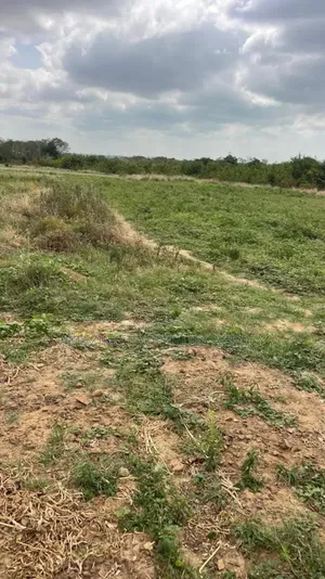 Plots of Land for Sale at Lashibi