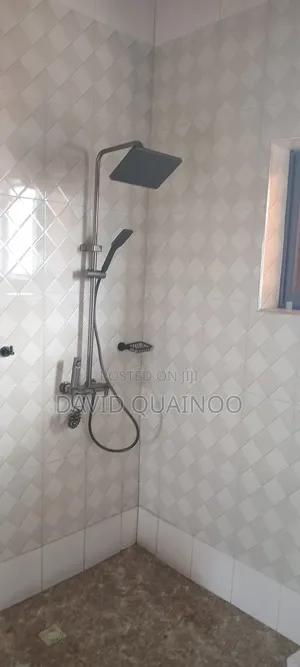 Professional Plumbing