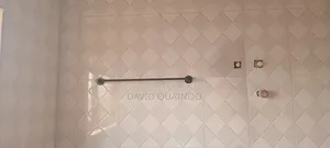 Professional Plumbing