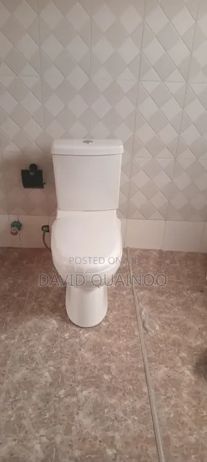 Professional Plumbing