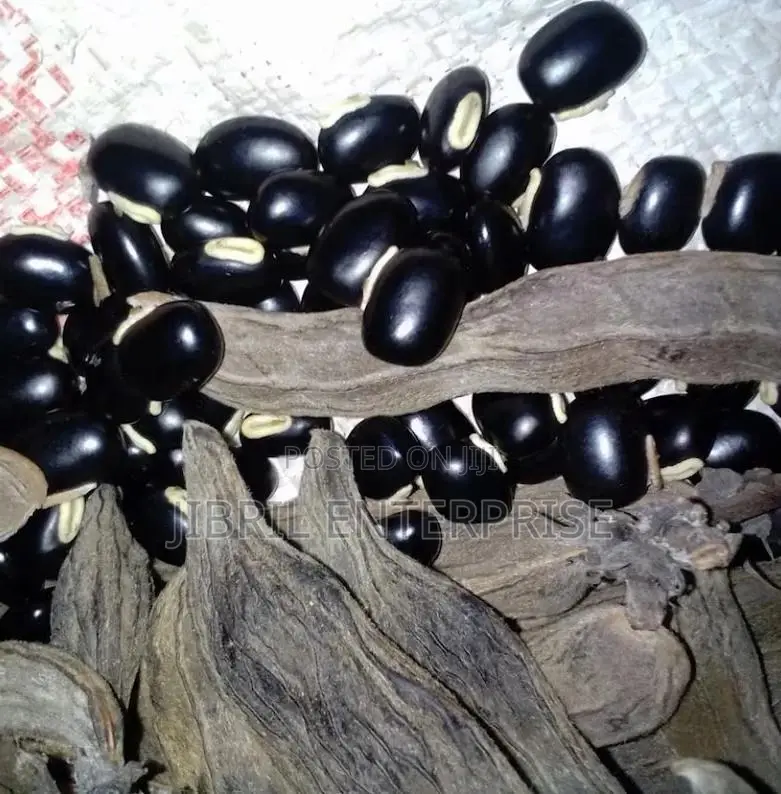 Black Mucuna Pruriens (Black Velvet Beans)