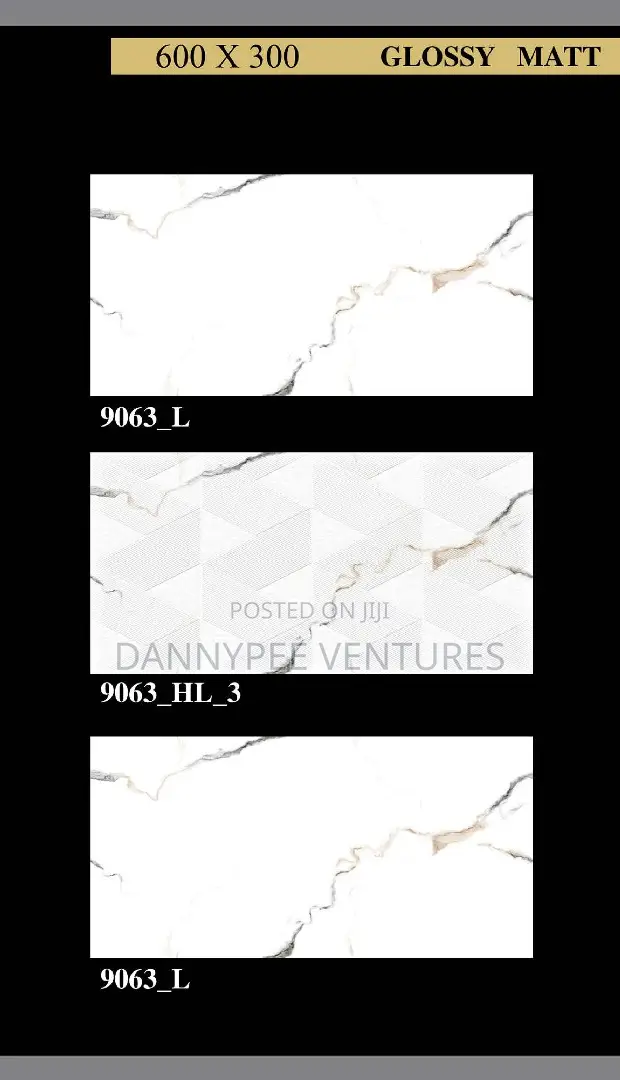 Inside 30/60 3d India Tiles