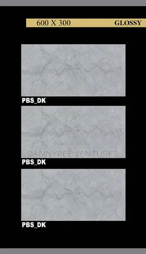Inside 30/60 3d India Tiles