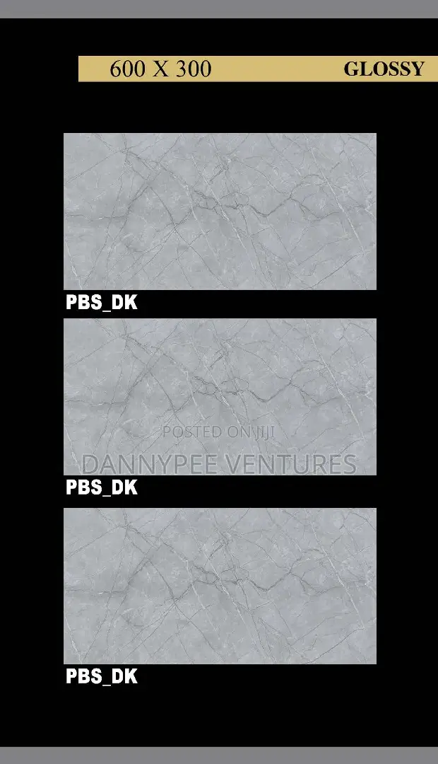 Inside 30/60 3d India Tiles