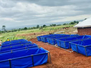 Adv Tech Tarpaulin Fish Tanks
