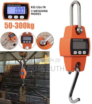 Mini Crane Scale