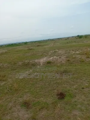 Neat and Flat Plots for Sale at Tsopoli