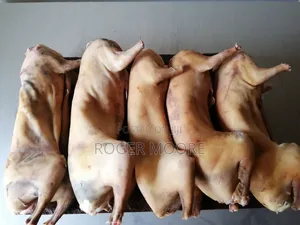 Rabbit Meat
