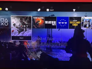 Ps4 Offline Games Package (5 Games)