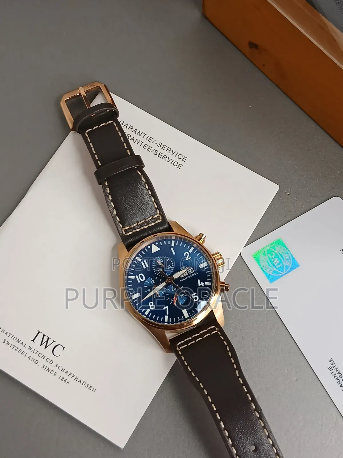Iwc Le Petit Prince Pilot Leather Watch