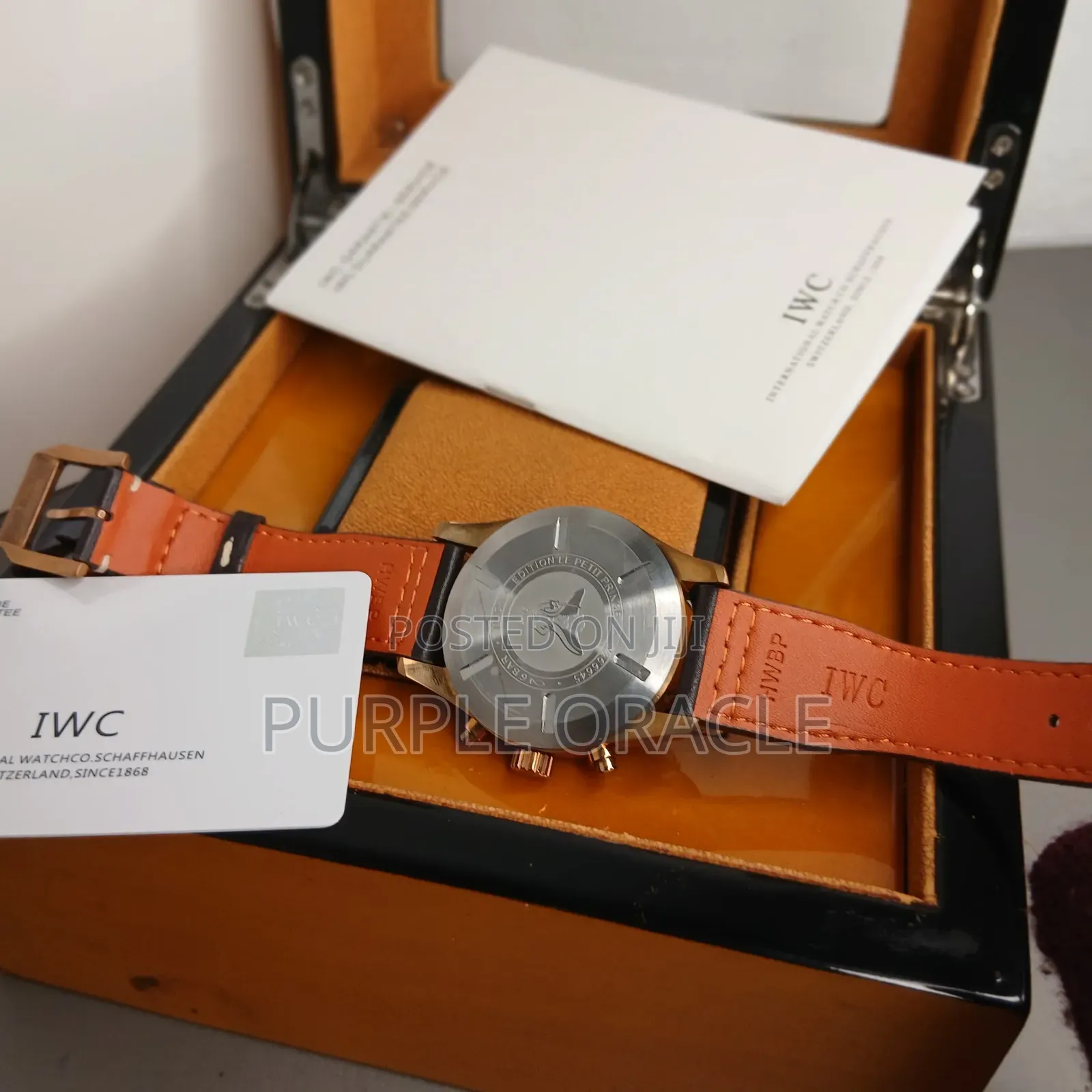 Iwc Le Petit Prince Pilot Leather Watch