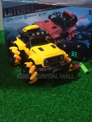 Remote Control Stunt Car