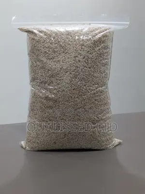 Tomato Seeds - Navrongo Type [1kg]