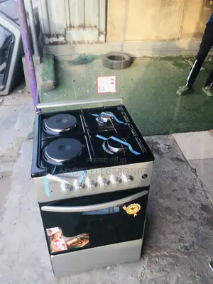 Volcano 4 Burner 2 Electric Gas