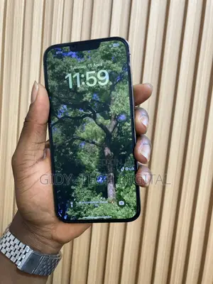 Apple iPhone 13 Pro Max 128 GB Gray