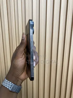 Apple iPhone 13 Pro Max 128 GB Gray