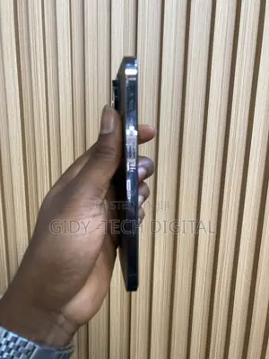 Apple iPhone 13 Pro Max 128 GB Gray
