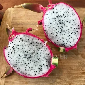 White Vietnam Dragon Fruits Exotic Fruits