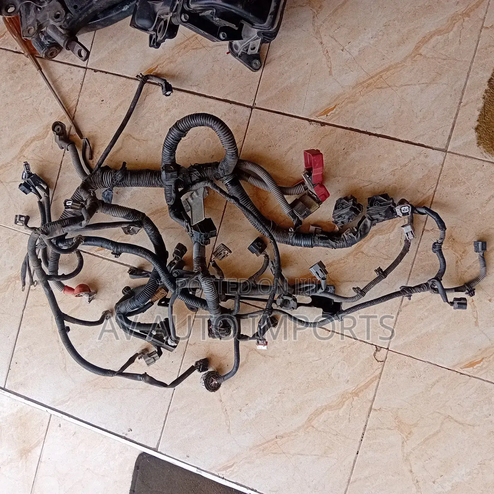 Sentra Engine Wire Harness (2013-19)
