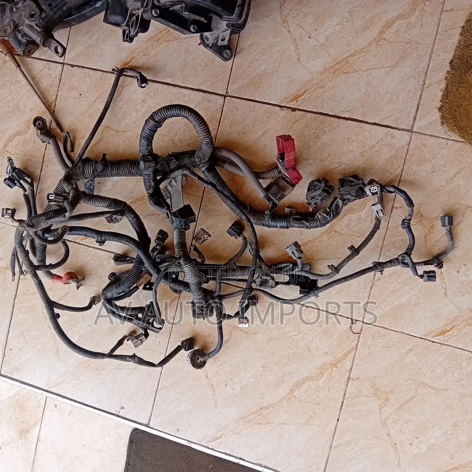 Sentra Engine Wire Harness (2013-19)