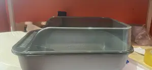 Cat Lit Tray