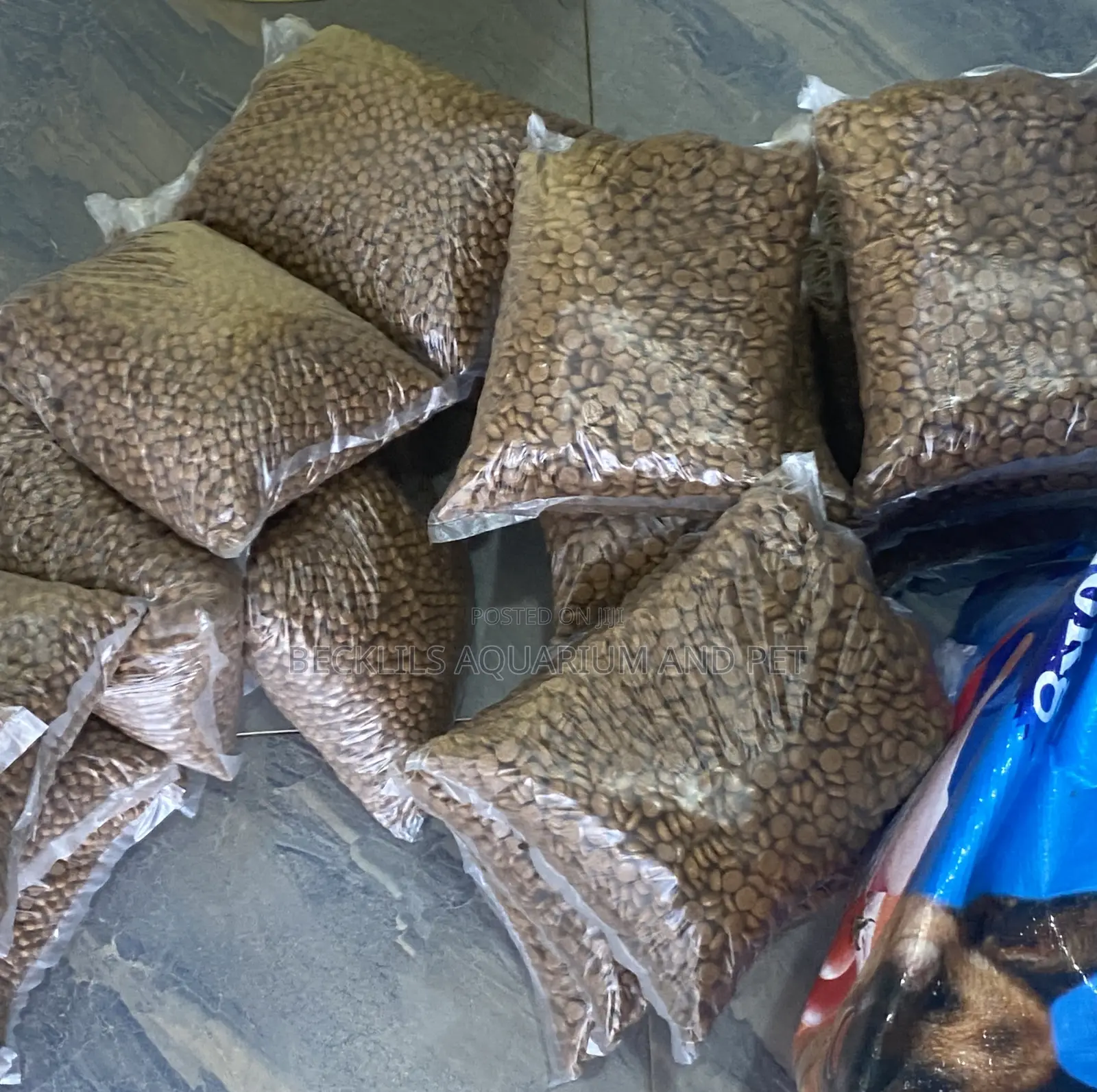 Puppy Dry Food