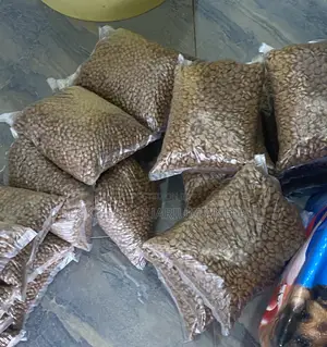 Puppy Dry Food
