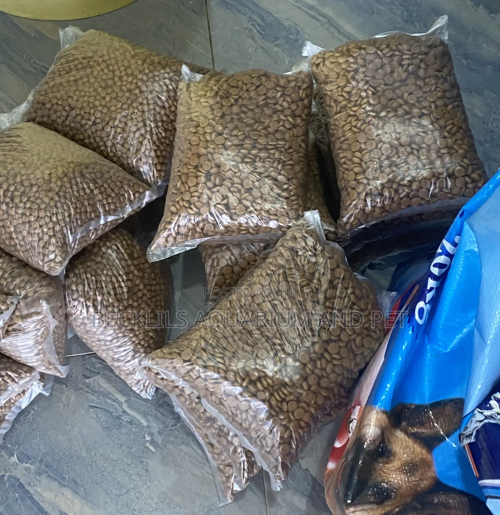 Puppy Dry Food