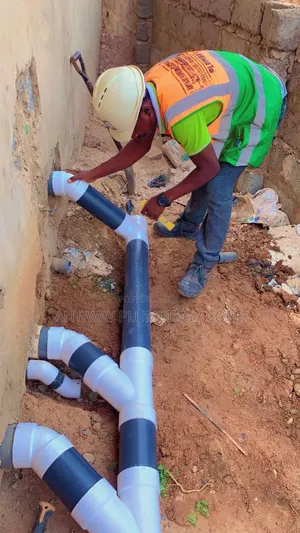 Professional Plumbers