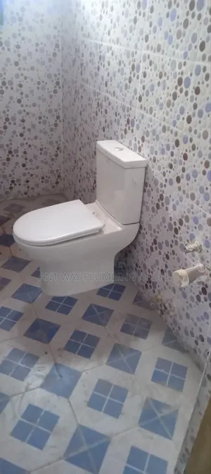 Professional Plumbers