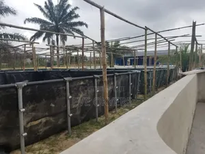 Tarpaulin Fish Tank