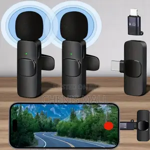 Portable/Mini/Wireless Microphone