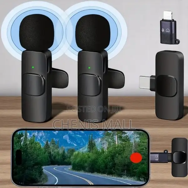 Portable/Mini/Wireless Microphone
