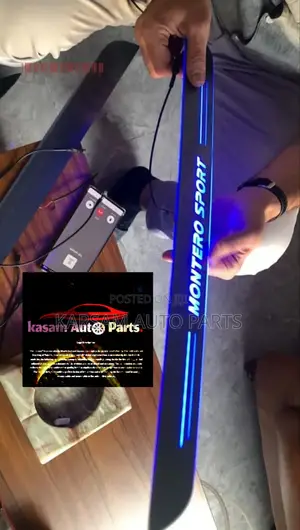 Door Stepper Light