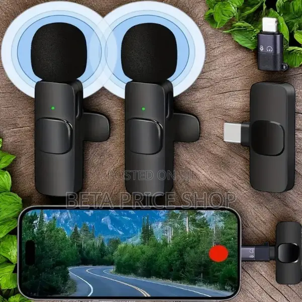 Portable/Mini/Wireless Microphone