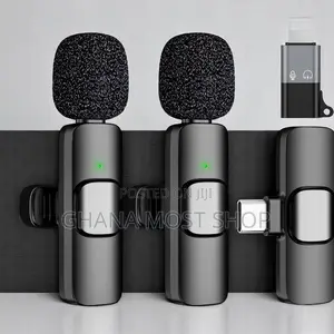 Portable/Mini/Wireless Microphone