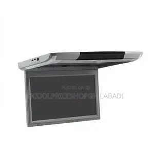 Car Rooftop Mount Universal DVD Usb Player Monitor