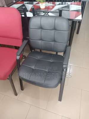 Visitors Leather Chair
