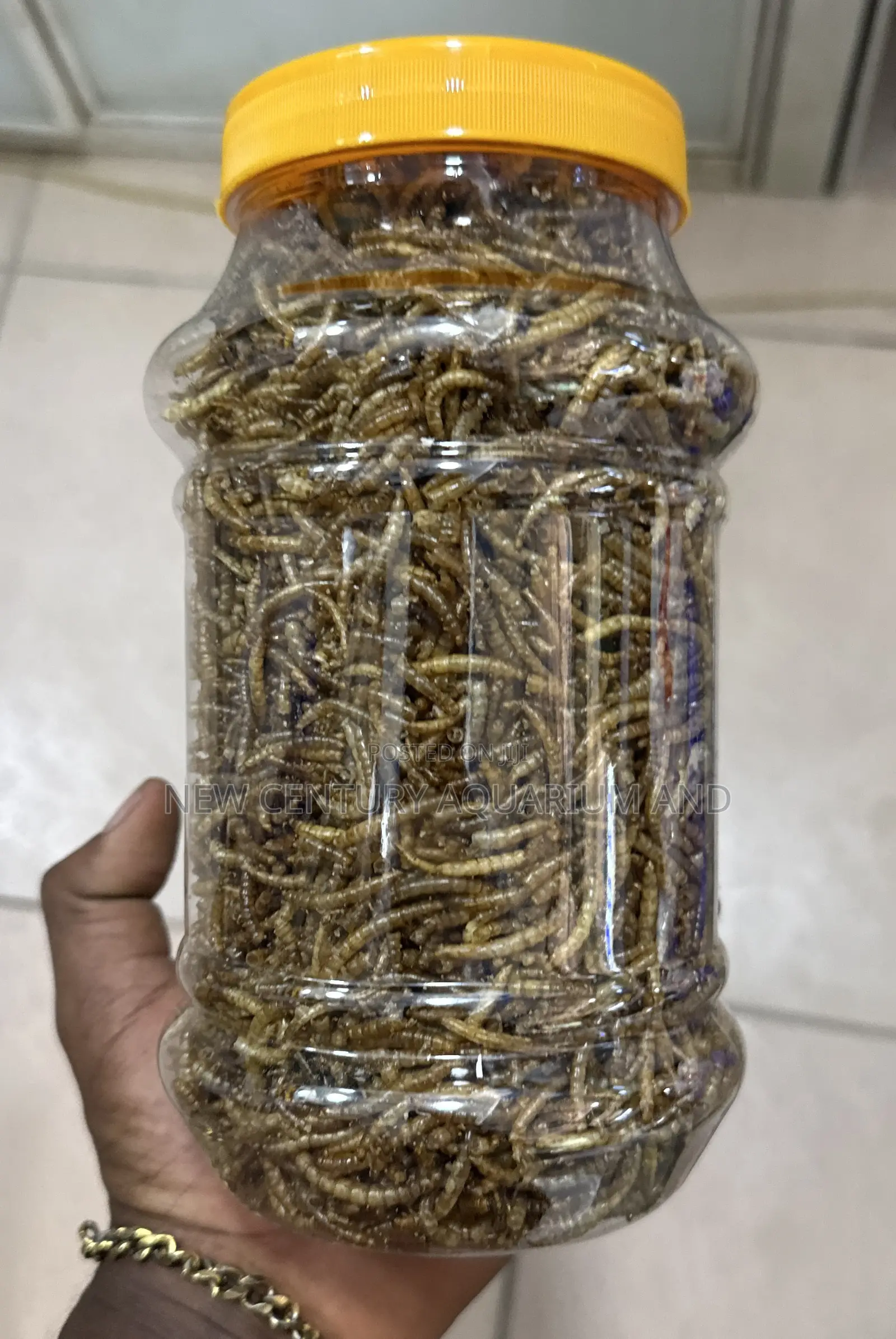 Dried Meal Worms / Fish Feed