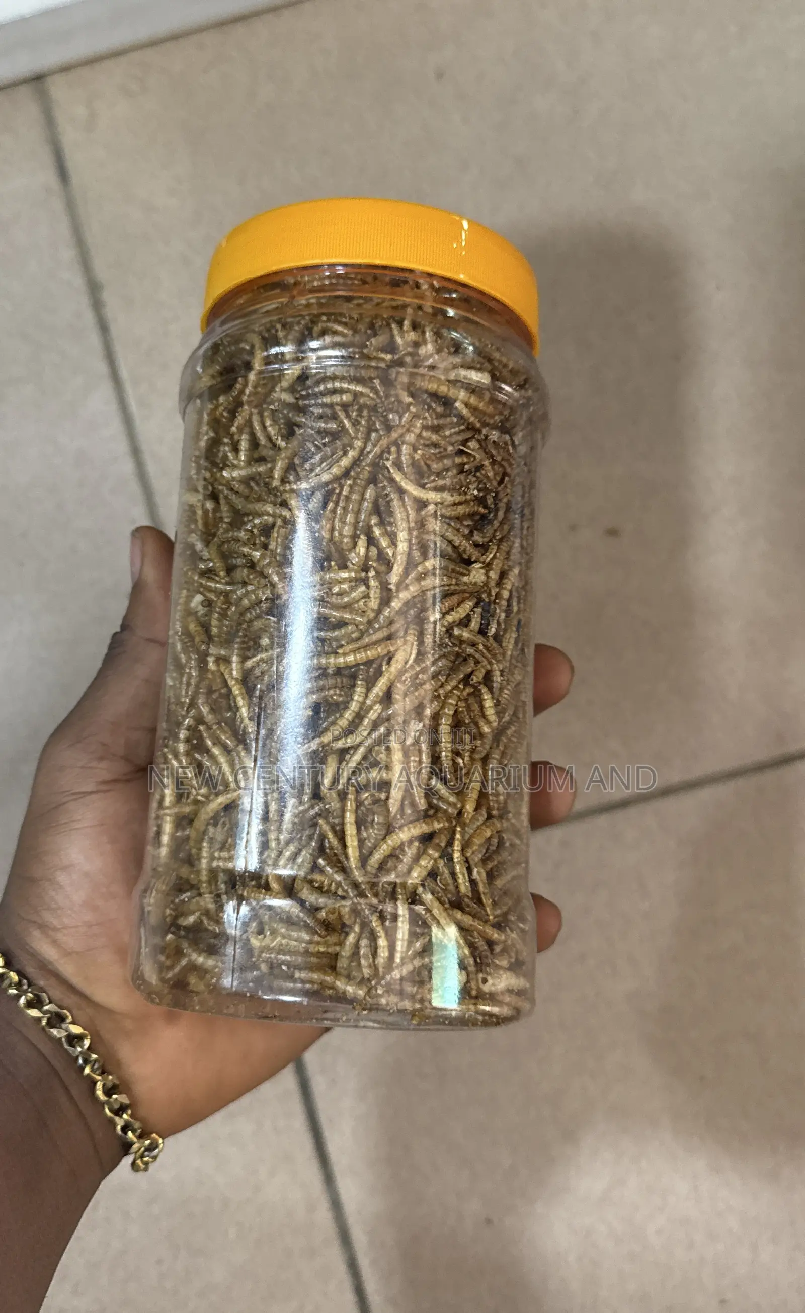 Dried Mealworms/Fish Feed
