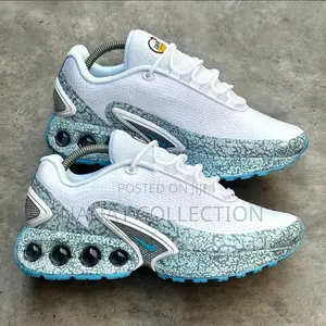 Nike Air Max Dn Grey and White