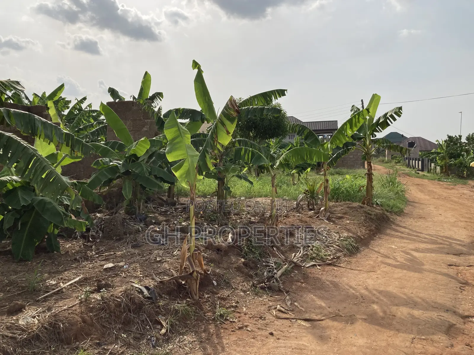 One Plot for Sale at Kwanwoma Konkoli.