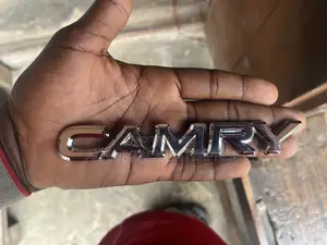Camry Written