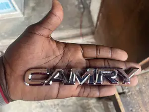 Camry Written