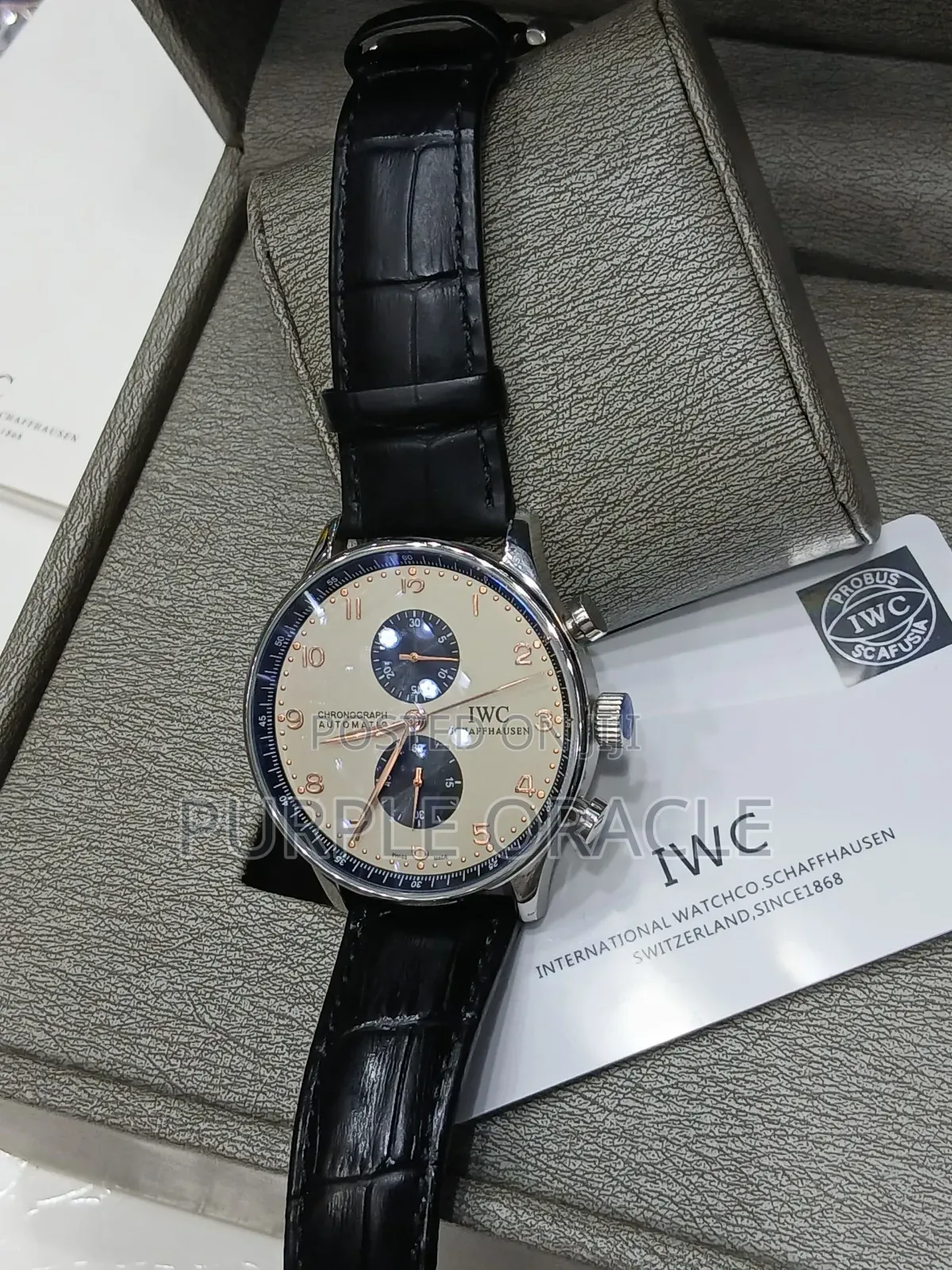 Iwc Chronograph Watch With Leather Strap