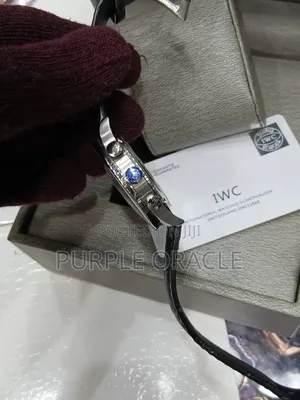 Iwc Chronograph Watch With Leather Strap