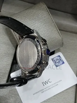Iwc Genuine Leather Timepiece for Gentlemen