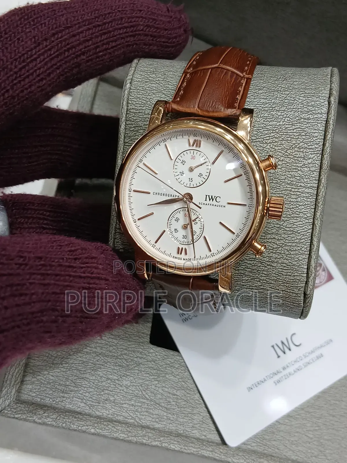 Iwc Brown Leather Watch for Gentlemen