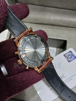 Iwc Brown Leather Watch for Gentlemen