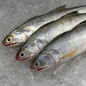 Fresh Threadfin Fish – Wholesale Retail| Ghana